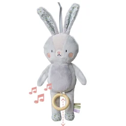 Rylee Musical Bunny