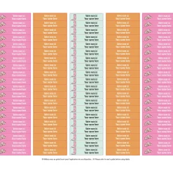 School Name Labels - Rodeo