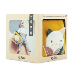 Sensory Cube Stimuli