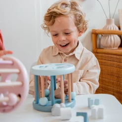 Shape Sorting Wheel - Blue