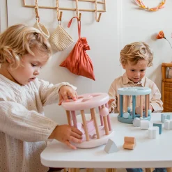 Shape Sorting Wheel -Pink