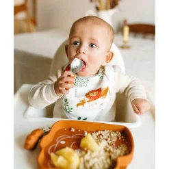 Silicon Snack Plate - Lion