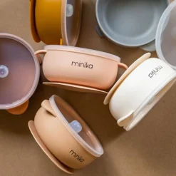 Silicone Bowl With Lid