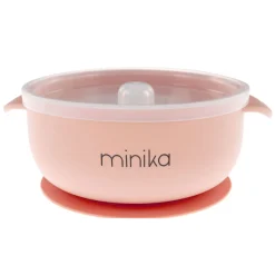 Silicone Bowl With Lid