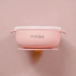 Silicone Bowl With Lid