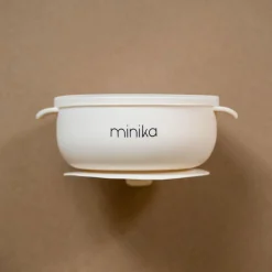 Silicone Bowl With Lid