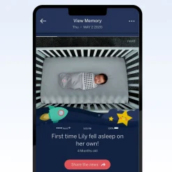 Smart Sheet One-Pack - Blue