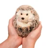 Spunky Hedgehog