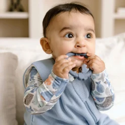 Teething Ring Set - Shark