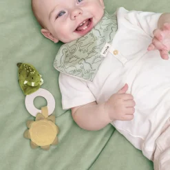 Teething Toy Mr Dino