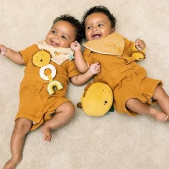 Teething Toy Mr Lion