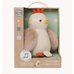 The Hen Musical Friend
