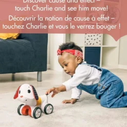 Tiny Rocker Follow-Me Toy - Dog