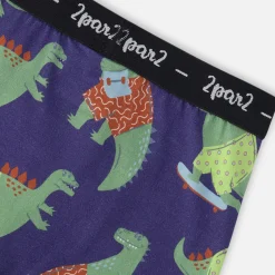 Trucks Boxers (3) 2-12