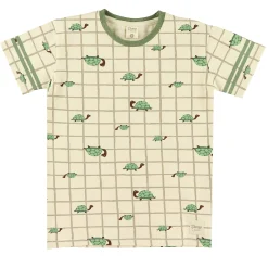 Turtle T-Shirt 2-8y