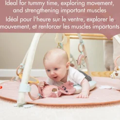 Unicorn Developmental Gymini