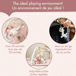 Unicorn Developmental Gymini