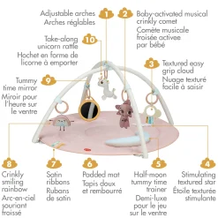 Unicorn Developmental Gymini