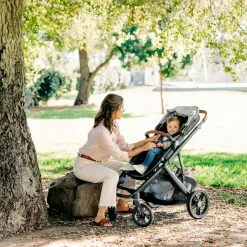 Vista V3 Stroller - Greyson