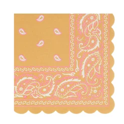 Western Small Napkins (16)
