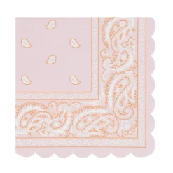 Western Small Napkins (16)
